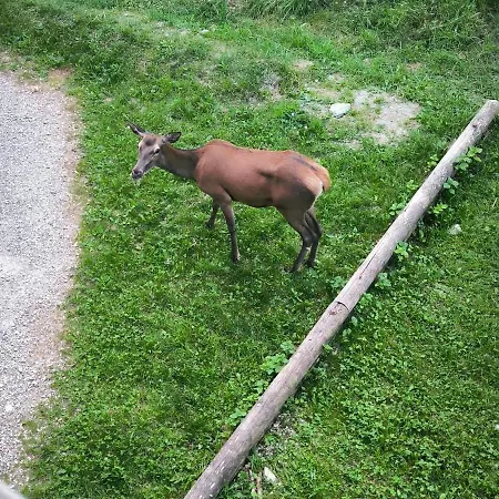 Lägenhet Au 2 Adultes Et 2 Enfants La Norma